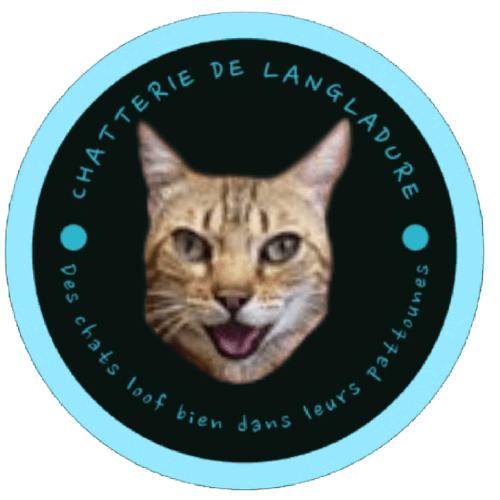 Chatterie de Langladure